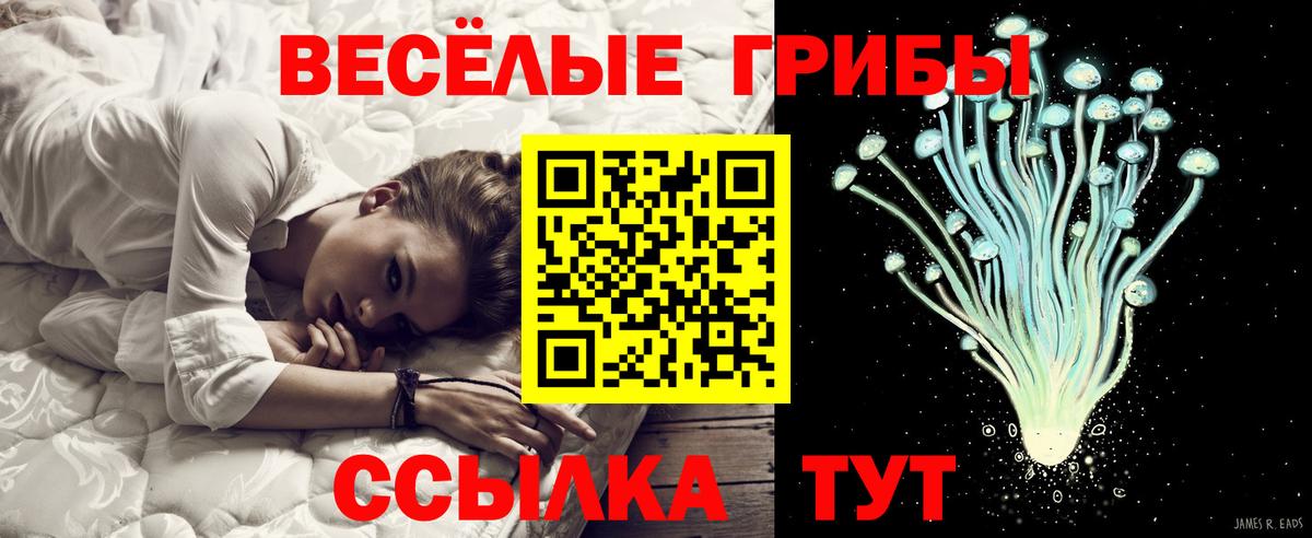 Псилоцибиновые грибы Psilocybe Воркута